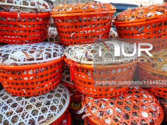 Workers are loading and unloading swimming crabs at the dock of Zhoushan International Aquatic City in Zhoushan, China, on August 2, 2024. (