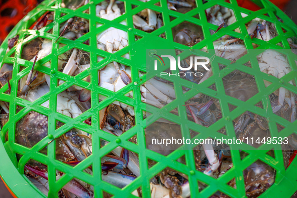 Workers are loading and unloading swimming crabs at the dock of Zhoushan International Aquatic City in Zhoushan, China, on August 2, 2024. 