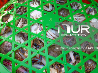 Workers are loading and unloading swimming crabs at the dock of Zhoushan International Aquatic City in Zhoushan, China, on August 2, 2024. (