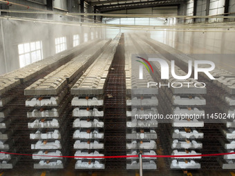 Sleepers are being transferred to a secondary maintenance shed for spray maintenance after their release in Nanchang-Jiujiang Intercity Rail...