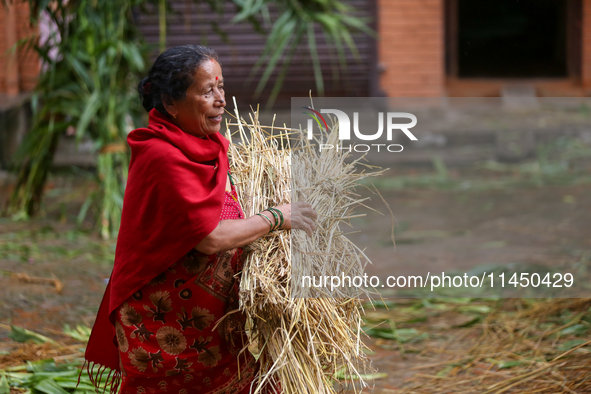 An elderly woman is carrying hay straws to make an effigy of the demon deity Ghantakarna to immolate it, veering off the bad omens and wardi...