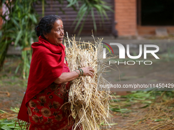 An elderly woman is carrying hay straws to make an effigy of the demon deity Ghantakarna to immolate it, veering off the bad omens and wardi...