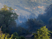 A Fire Brigade fire engine and another rescue vehicle are being seriously damaged by flames during operations to extinguish a large fire tha...