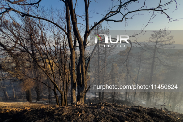 A Fire Brigade fire engine and another rescue vehicle are being seriously damaged by flames during operations to extinguish a large fire tha...