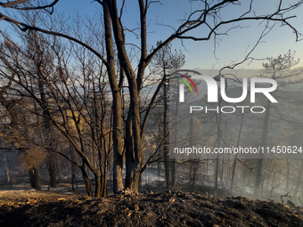 A Fire Brigade fire engine and another rescue vehicle are being seriously damaged by flames during operations to extinguish a large fire tha...