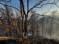 A Fire Brigade fire engine and another rescue vehicle are being seriously damaged by flames during operations to extinguish a large fire tha...