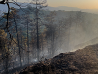 A Fire Brigade fire engine and another rescue vehicle are being seriously damaged by flames during operations to extinguish a large fire tha...