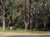 People are taking the opportunity to lie out in the sun during the afternoon in Buenos Aires, Argentina, on August 2, 2024. (