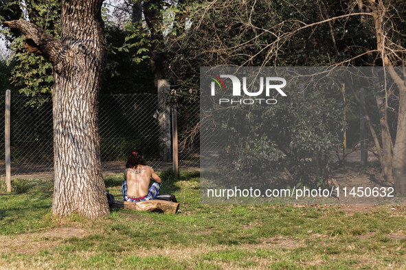 People are taking the opportunity to lie out in the sun during the afternoon in Buenos Aires, Argentina, on August 2, 2024. 