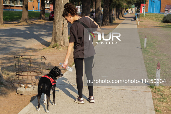 A woman is giving her dog water to keep it hydrated in the high temperatures in Buenos Aires, Argentina, on August 2, 2024. 