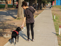 A woman is giving her dog water to keep it hydrated in the high temperatures in Buenos Aires, Argentina, on August 2, 2024. (