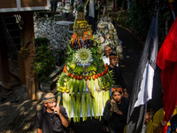 The Cireundeu Indigenous people are bringing the 'Gunungan', a sacrifice in the shape of a mountain, during the Ngemban Taun traditional cer...