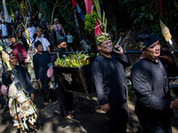 The Cireundeu Indigenous people are bringing the 'Gunungan', a sacrifice in the shape of a mountain, during the Ngemban Taun traditional cer...