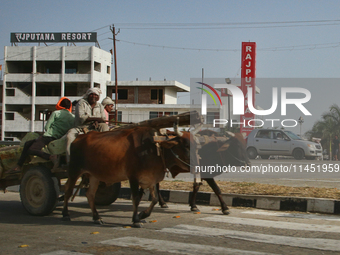 A bullock cart is traveling along the road in Dhampur, Uttarakhand, India, on April 19, 2024. (