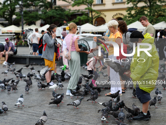 Tourists are playing with pigeons on the Main Square in Krakow, Poland, on August 1, 2024. (