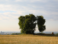 View of the city from the Krakus Mound in Krakow, Poland, on August 1, 2024. (