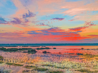 Thousands of birds are flocking to the Hongze Lake wetland in Suqian, China, on August 4, 2024. (