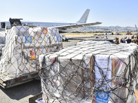 The Minister of Public Health in the caretaker government, Dr. Firas Al-Abyad, is receiving an emergency aid shipment via charter plane in B...