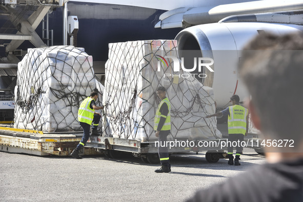 The Minister of Public Health in the caretaker government, Dr. Firas Al-Abyad, is receiving an emergency aid shipment via charter plane in B...