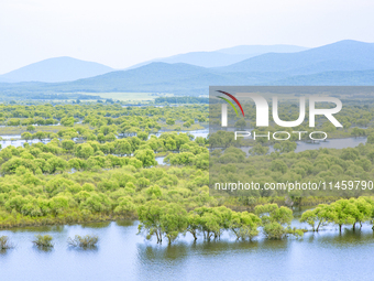 The water level of the Wusuli River wetland is rising in Raohe county, Heilongjiang province, China, on July 20, 2024. (