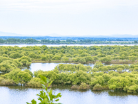 The water level of the Wusuli River wetland is rising in Raohe county, Heilongjiang province, China, on July 20, 2024. (