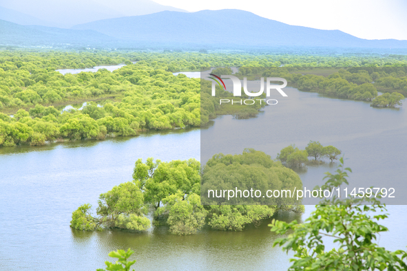 The water level of the Wusuli River wetland is rising in Raohe county, Heilongjiang province, China, on July 20, 2024. 