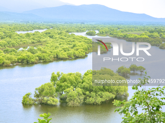 The water level of the Wusuli River wetland is rising in Raohe county, Heilongjiang province, China, on July 20, 2024. (