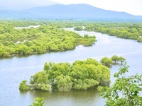 The water level of the Wusuli River wetland is rising in Raohe county, Heilongjiang province, China, on July 20, 2024. (