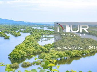 The water level of the Wusuli River wetland is rising in Raohe county, Heilongjiang province, China, on July 20, 2024. (