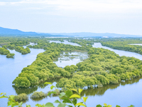 The water level of the Wusuli River wetland is rising in Raohe county, Heilongjiang province, China, on July 20, 2024. (