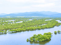 The water level of the Wusuli River wetland is rising in Raohe county, Heilongjiang province, China, on July 20, 2024. (