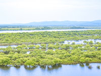 The water level of the Wusuli River wetland is rising in Raohe county, Heilongjiang province, China, on July 20, 2024. (