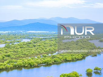 The water level of the Wusuli River wetland is rising in Raohe county, Heilongjiang province, China, on July 20, 2024. (