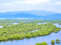 The water level of the Wusuli River wetland is rising in Raohe county, Heilongjiang province, China, on July 20, 2024. (