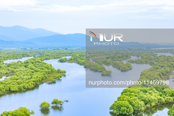 The water level of the Wusuli River wetland is rising in Raohe county, Heilongjiang province, China, on July 20, 2024. 