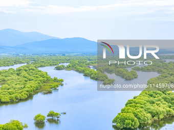 The water level of the Wusuli River wetland is rising in Raohe county, Heilongjiang province, China, on July 20, 2024. (