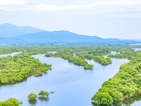 The water level of the Wusuli River wetland is rising in Raohe county, Heilongjiang province, China, on July 20, 2024. (