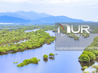 The water level of the Wusuli River wetland is rising in Raohe county, Heilongjiang province, China, on July 20, 2024. (