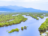 The water level of the Wusuli River wetland is rising in Raohe county, Heilongjiang province, China, on July 20, 2024. (