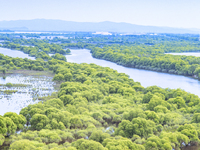 The water level of the Wusuli River wetland is rising in Raohe county, Heilongjiang province, China, on July 20, 2024. (