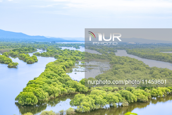 The water level of the Wusuli River wetland is rising in Raohe county, Heilongjiang province, China, on July 20, 2024. 