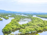 The water level of the Wusuli River wetland is rising in Raohe county, Heilongjiang province, China, on July 20, 2024. (