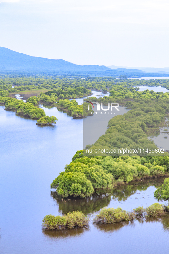 The water level of the Wusuli River wetland is rising in Raohe county, Heilongjiang province, China, on July 20, 2024. 