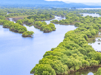 The water level of the Wusuli River wetland is rising in Raohe county, Heilongjiang province, China, on July 20, 2024. (