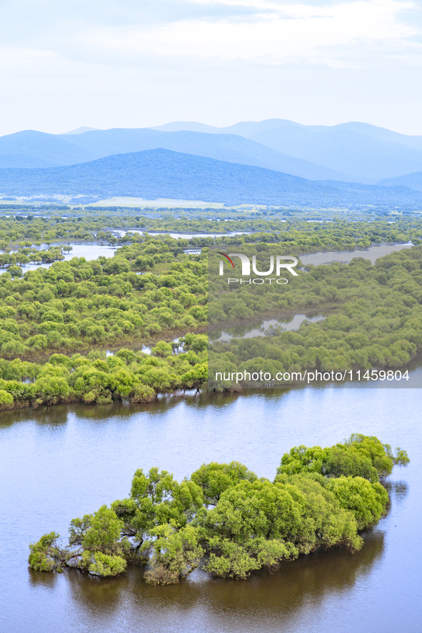 The water level of the Wusuli River wetland is rising in Raohe county, Heilongjiang province, China, on July 20, 2024. 