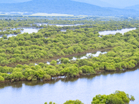 The water level of the Wusuli River wetland is rising in Raohe county, Heilongjiang province, China, on July 20, 2024. (