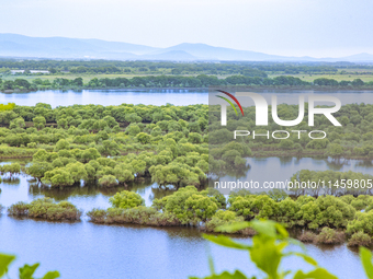 The water level of the Wusuli River wetland is rising in Raohe county, Heilongjiang province, China, on July 20, 2024. (