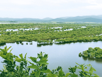 The water level of the Wusuli River wetland is rising in Raohe county, Heilongjiang province, China, on July 20, 2024. (