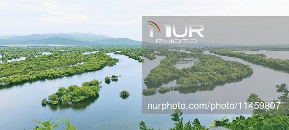 The water level of the Wusuli River wetland is rising in Raohe county, Heilongjiang province, China, on July 20, 2024. 