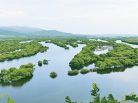 The water level of the Wusuli River wetland is rising in Raohe county, Heilongjiang province, China, on July 20, 2024. (